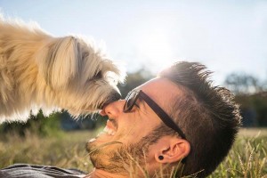 7 razones por las que tu perro te quiere lamer