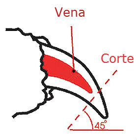 corte uñas