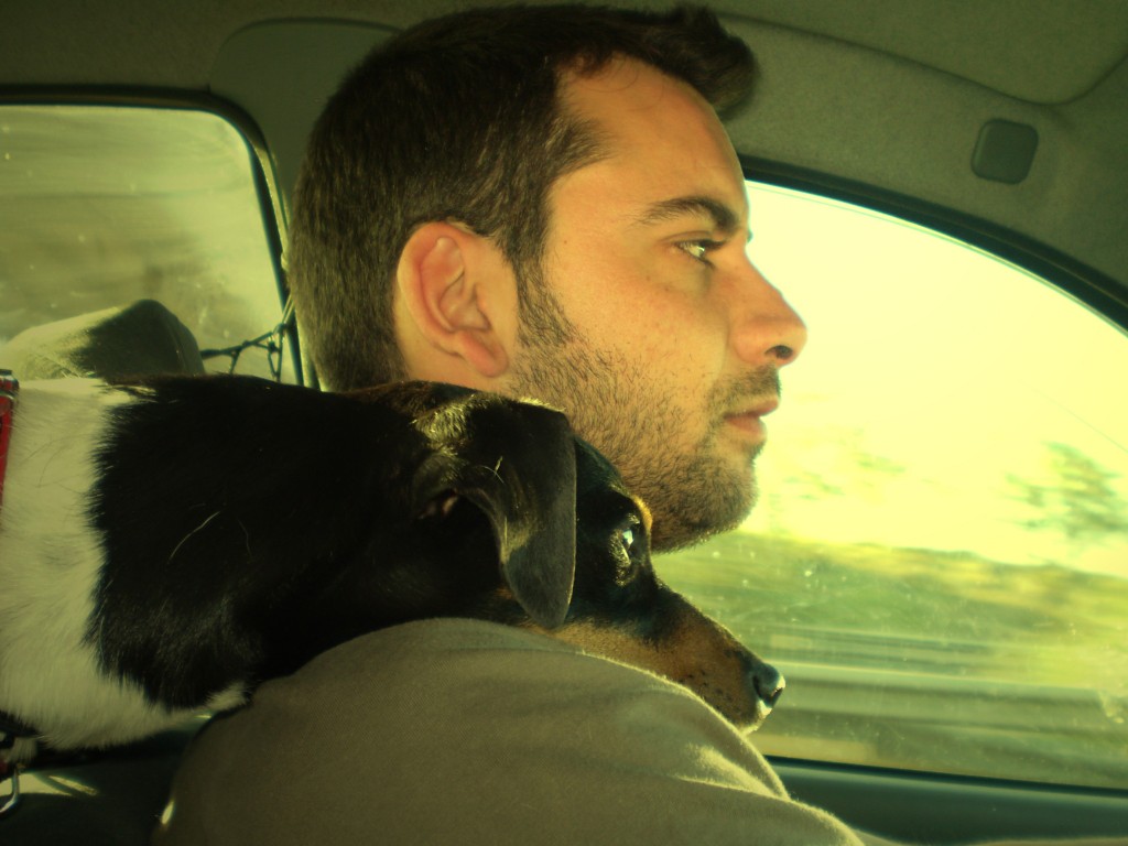 como viajar con perro en el coche