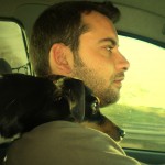 ¿Cómo evitar una multa cuando viajes en coche con tu perro?