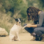 ¿Estás pensando en adquirir un perro?