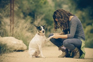 falsos mitos sobre perros