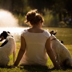 A los perros les afecta la hormona del amor?