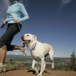 Ponte en forma con tu perro