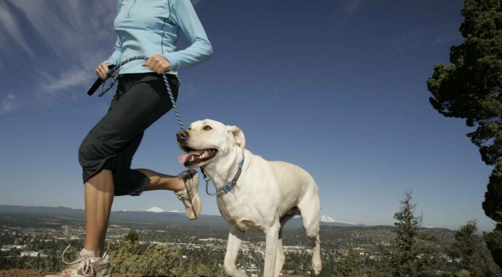 imagen ponte en forma con tu perro