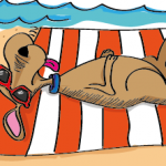 ¿Te vas de vacaciones con tu perro? Estas son las playas oficiales de toda España