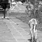 Sacrificio Cero ¿Qué es?