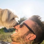 7 razones por las que tu perro te quiere lamer